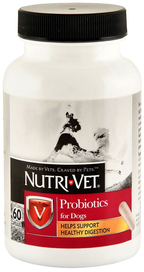 Nutri-Vet Probiotics for Dogs