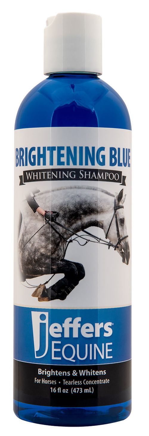 Brightening Blue Shampoo for Horses