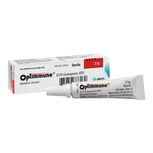 Optimmune Ophthalmic Ointment Rx for Dogs