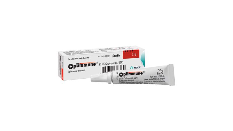 Optimmune Ophthalmic Ointment Dog KCS Treatment Lambert Vet Supply Dog Cat Horse Kennel Vet Supplies