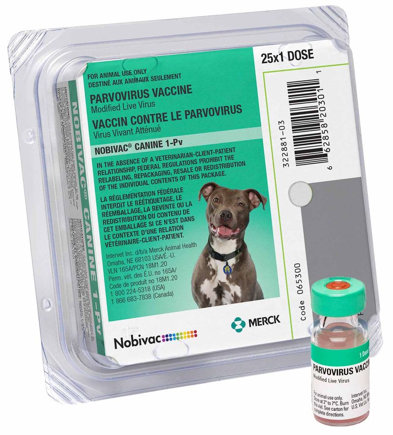 Nobivac-Canine-1-Pv-25-x-1-Dose