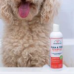 Wondercide Flea & Tick Shampoo for Dogs + Cats, 12oz., Peppermint