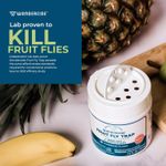 Wondercide Fruit Fly Trap Home + Kitchen